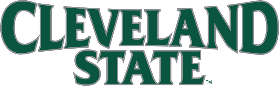 Cleveland State Vikings 2014-Pres Wordmark Logo v2 diy iron on heat transfer